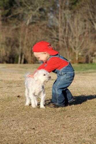 9f967f_09562b283039491e97811762bddd736c