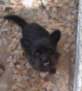 9f967f_323e09e5e70c4248a4712771a55913f8