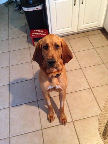 9f967f_37693634f456487ba2a6b6a2e741194c