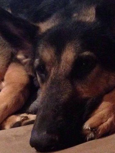 9f967f_40f60fa98c52420da6f96e0f24a3cb73