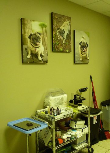 9f967f_637553b07c4549368a59fddede924959