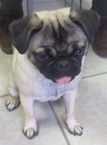 9f967f_786c0a94ceec4d7a88646812ff2f4353