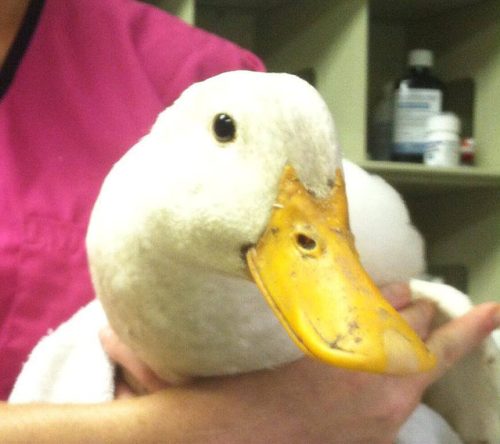 9f967f_87e392e8ce1143f58dc480102f8c3a57