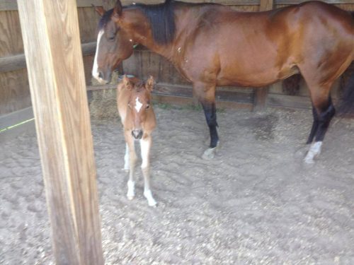 9f967f_93f53ba51c6245a58135fa60fc71e89e