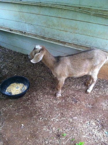 9f967f_aa31591bbaf04a5fb37daf488471e7ff