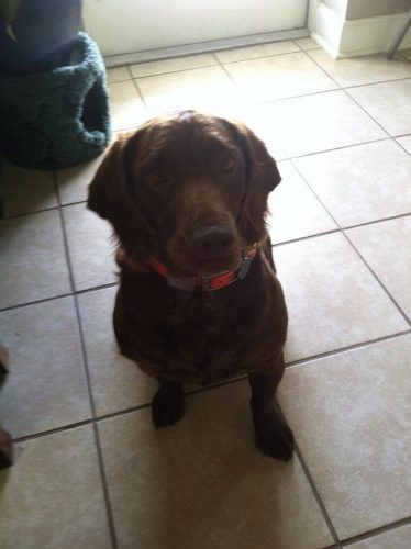 9f967f_bc5e48e675a5483aaec8a07df9086322