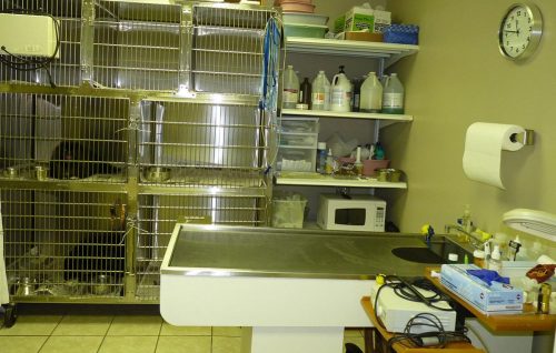 9f967f_da480326710647edbb8477c81b2dbb3b